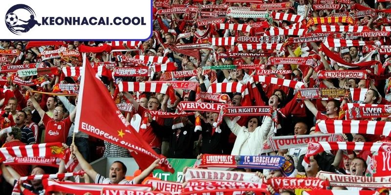 Fan Liverpool Gọi Là Gì? Giải Mã Tên Bản Sắc Và Văn Hóa 2 Liverpudlians và bản sắc địa phương