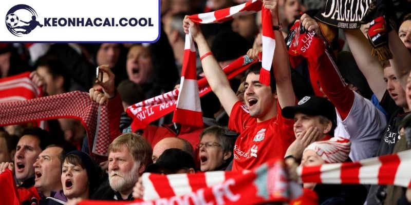 Fan Liverpool Gọi Là Gì? Giải Mã Tên Bản Sắc Và Văn Hóa 1 Fan Liverpool gọi là gì?