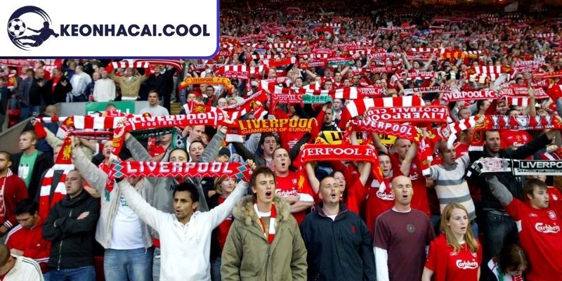 Fan Liverpool Gọi Là Gì? Giải Mã Tên Bản Sắc Và Văn Hóa 3 Những cách gọi mang tính khu vực